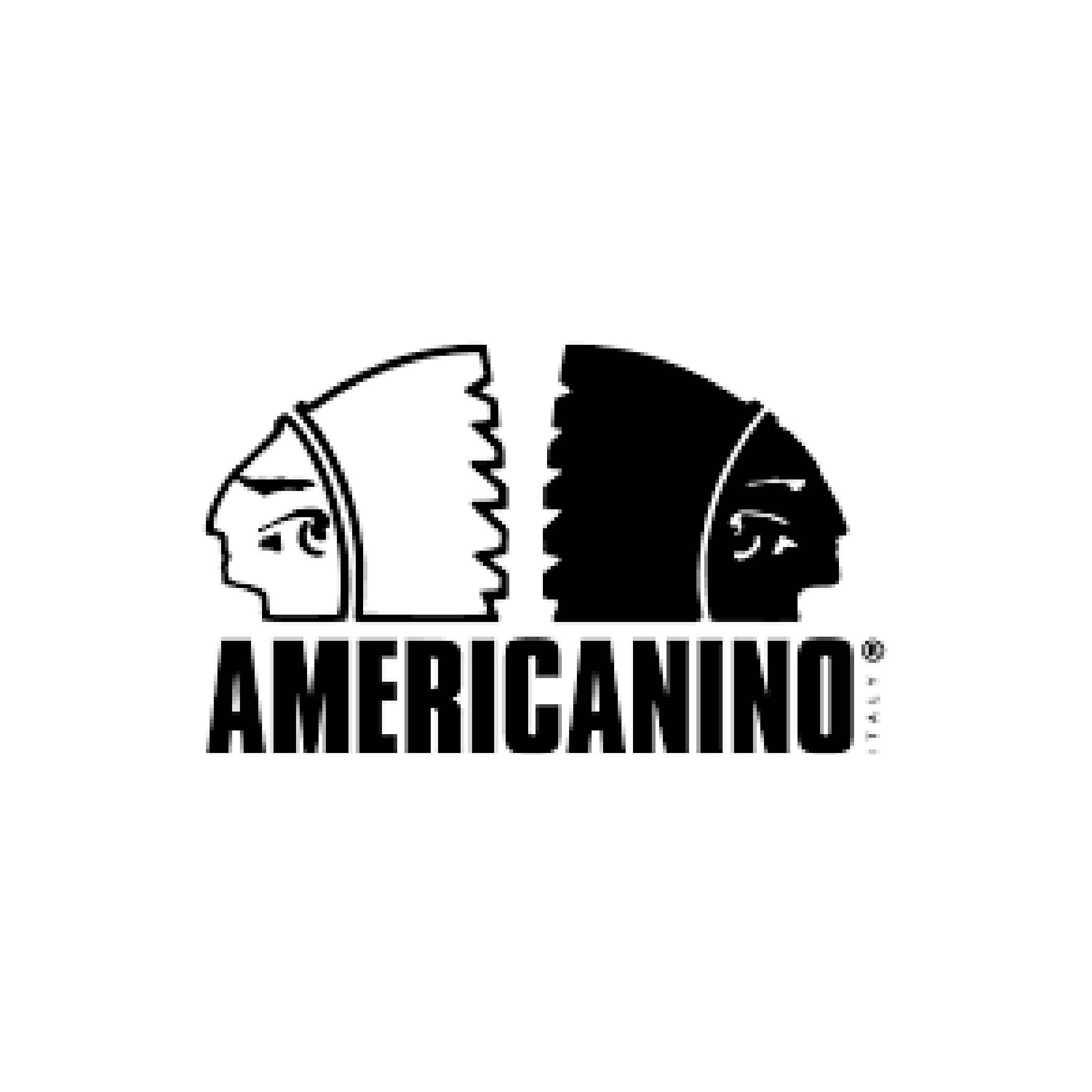 Logo_Americanino